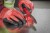 4932478562--App_1(2).jpg