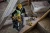 Ecomm_Large-DW_TSTAK-TOUGH-CASE-STORAGE_A1.webp